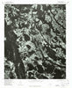 Wagram North Carolina Historical topographic map, 1:24000 scale, 7.5 X 7.5 Minute, Year 1976