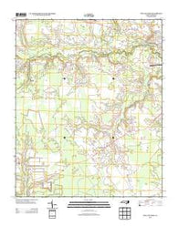 Wallace West North Carolina Historical topographic map, 1:24000 scale, 7.5 X 7.5 Minute, Year 2013