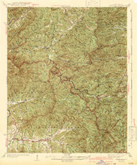Wayah Bald North Carolina Historical topographic map, 1:62500 scale, 15 X 15 Minute, Year 1942