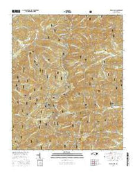 Wayah Bald North Carolina Current topographic map, 1:24000 scale, 7.5 X 7.5 Minute, Year 2016