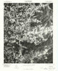 Weaverville North Carolina Historical topographic map, 1:24000 scale, 7.5 X 7.5 Minute, Year 1976