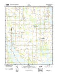Weeksville North Carolina Historical topographic map, 1:24000 scale, 7.5 X 7.5 Minute, Year 2013