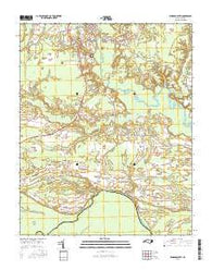 Windsor South North Carolina Current topographic map, 1:24000 scale, 7.5 X 7.5 Minute, Year 2016