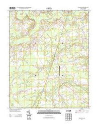 Woodland North Carolina Historical topographic map, 1:24000 scale, 7.5 X 7.5 Minute, Year 2013