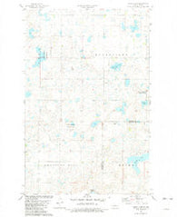 Alkali Lake North Dakota Historical topographic map, 1:24000 scale, 7.5 X 7.5 Minute, Year 1981