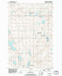 Courtenay NW North Dakota Historical topographic map, 1:24000 scale, 7.5 X 7.5 Minute, Year 1990