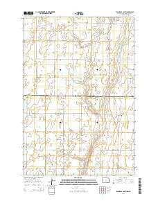 Ellendale South North Dakota Current topographic map, 1:24000 scale, 7.5 X 7.5 Minute, Year 2014