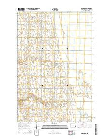 Larimore SW North Dakota Current topographic map, 1:24000 scale, 7.5 X 7.5 Minute, Year 2014