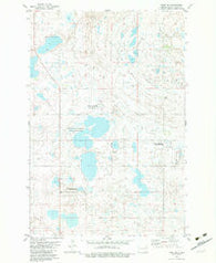 Lehr NE North Dakota Historical topographic map, 1:24000 scale, 7.5 X 7.5 Minute, Year 1982
