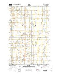 Litchville SE North Dakota Current topographic map, 1:24000 scale, 7.5 X 7.5 Minute, Year 2014