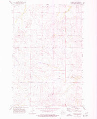 Manning NW North Dakota Historical topographic map, 1:24000 scale, 7.5 X 7.5 Minute, Year 1973