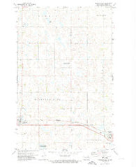 Michigan East North Dakota Historical topographic map, 1:24000 scale, 7.5 X 7.5 Minute, Year 1971