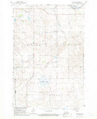 Mott SW North Dakota Historical topographic map, 1:24000 scale, 7.5 X 7.5 Minute, Year 1966