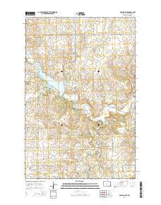 Nelson Lake North Dakota Current topographic map, 1:24000 scale, 7.5 X 7.5 Minute, Year 2014