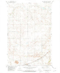 New Leipzig North North Dakota Historical topographic map, 1:24000 scale, 7.5 X 7.5 Minute, Year 1980