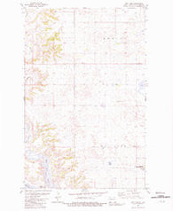 Rat Lake North Dakota Historical topographic map, 1:24000 scale, 7.5 X 7.5 Minute, Year 1981