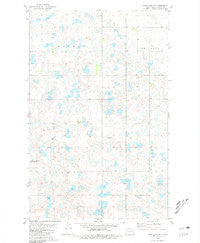 Rice Lake NW North Dakota Historical topographic map, 1:24000 scale, 7.5 X 7.5 Minute, Year 1980