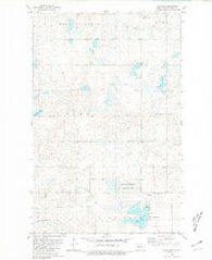 Rice Lake North Dakota Historical topographic map, 1:24000 scale, 7.5 X 7.5 Minute, Year 1980