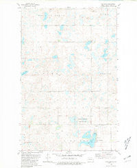 Rice Lake North Dakota Historical topographic map, 1:24000 scale, 7.5 X 7.5 Minute, Year 1980