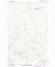 Turtle Creek SE North Dakota Historical topographic map, 1:24000 scale, 7.5 X 7.5 Minute, Year 1980