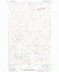 Turtle Creek SE North Dakota Historical topographic map, 1:24000 scale, 7.5 X 7.5 Minute, Year 1980