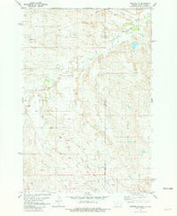 Webster NE Montana Historical topographic map, 1:24000 scale, 7.5 X 7.5 Minute, Year 1981