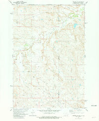 Webster NE Montana Historical topographic map, 1:24000 scale, 7.5 X 7.5 Minute, Year 1981