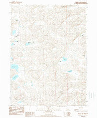 Arnold Lake Nebraska Historical topographic map, 1:24000 scale, 7.5 X 7.5 Minute, Year 1989