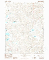 Arnold Lake Nebraska Historical topographic map, 1:24000 scale, 7.5 X 7.5 Minute, Year 1989