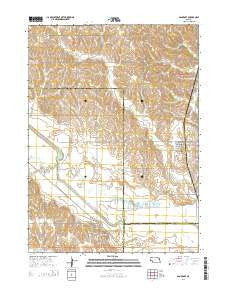 Bancroft Nebraska Current topographic map, 1:24000 scale, 7.5 X 7.5 Minute, Year 2014