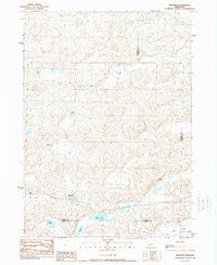 Bingham Nebraska Historical topographic map, 1:24000 scale, 7.5 X 7.5 Minute, Year 1989