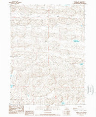 Bristol Lake Nebraska Historical topographic map, 1:24000 scale, 7.5 X 7.5 Minute, Year 1989