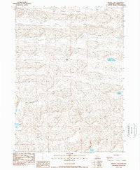 Bristol Lake Nebraska Historical topographic map, 1:24000 scale, 7.5 X 7.5 Minute, Year 1989