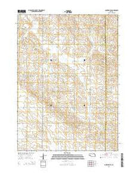 Coleridge SE Nebraska Current topographic map, 1:24000 scale, 7.5 X 7.5 Minute, Year 2014