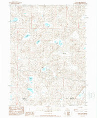 Gaunt Lake Nebraska Historical topographic map, 1:24000 scale, 7.5 X 7.5 Minute, Year 1989