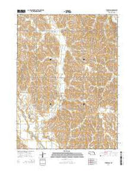 Thurston Nebraska Current topographic map, 1:24000 scale, 7.5 X 7.5 Minute, Year 2014
