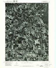 Walthill Nebraska Historical topographic map, 1:24000 scale, 7.5 X 7.5 Minute, Year 1977