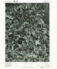 Walthill Nebraska Historical topographic map, 1:24000 scale, 7.5 X 7.5 Minute, Year 1977