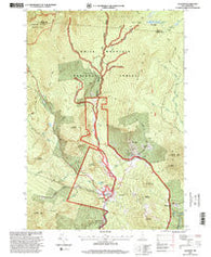 Jackson New Hampshire Historical topographic map, 1:24000 scale, 7.5 X 7.5 Minute, Year 1995