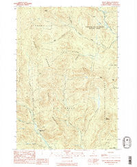 Mt. Pisgah New Hampshire Historical topographic map, 1:24000 scale, 7.5 X 7.5 Minute, Year 1989