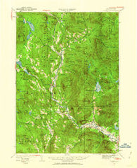 Rumney New Hampshire Historical topographic map, 1:62500 scale, 15 X 15 Minute, Year 1928