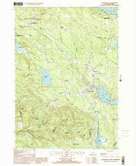Sanbornville New Hampshire Historical topographic map, 1:24000 scale, 7.5 X 7.5 Minute, Year 2000