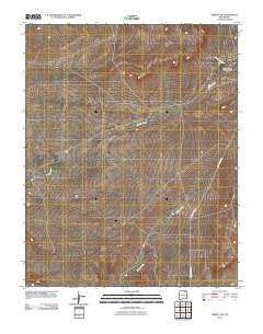 Abbott NW New Mexico Historical topographic map, 1:24000 scale, 7.5 X 7.5 Minute, Year 2010
