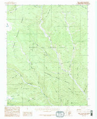 Abreu Canyon New Mexico Historical topographic map, 1:24000 scale, 7.5 X 7.5 Minute, Year 1987