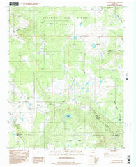 Agua Fria Peak New Mexico Historical topographic map, 1:24000 scale, 7.5 X 7.5 Minute, Year 1994