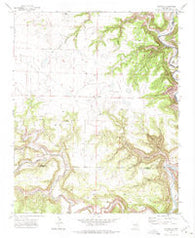 Alamito New Mexico Historical topographic map, 1:24000 scale, 7.5 X 7.5 Minute, Year 1971
