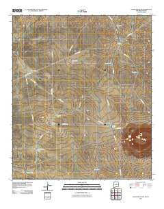 Alamo Mountain New Mexico Historical topographic map, 1:24000 scale, 7.5 X 7.5 Minute, Year 2010
