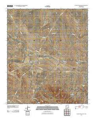 Alamo Mountain NE New Mexico Historical topographic map, 1:24000 scale, 7.5 X 7.5 Minute, Year 2010