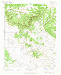 Alamosa Creek New Mexico Historical topographic map, 1:24000 scale, 7.5 X 7.5 Minute, Year 1964