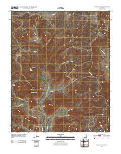 Alamosa Canyon New Mexico Historical topographic map, 1:24000 scale, 7.5 X 7.5 Minute, Year 2010